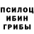 Галлюциногенные грибы Cubensis Anna Matiashova