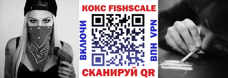 Купить Дальнегорск КОКАИН Fish Scale