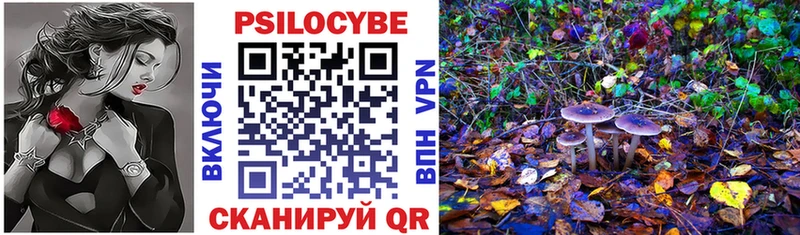 Купить закладки Дальнегорск Псилоцибиновые грибы мухоморы